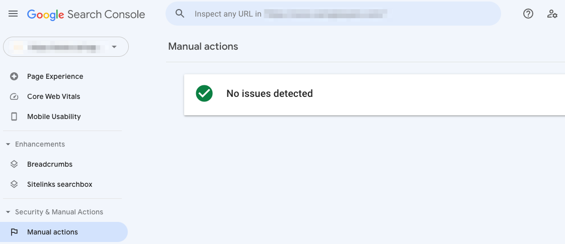 google-manual-actions