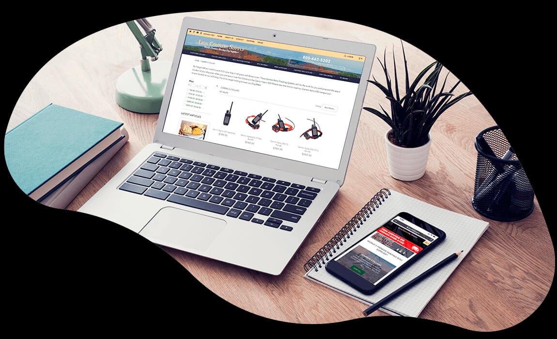 LCS_website